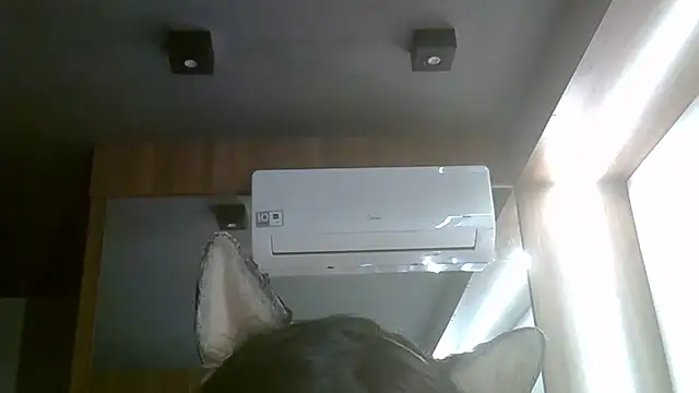Skinny-Kitten online show from 5, 7, 2026