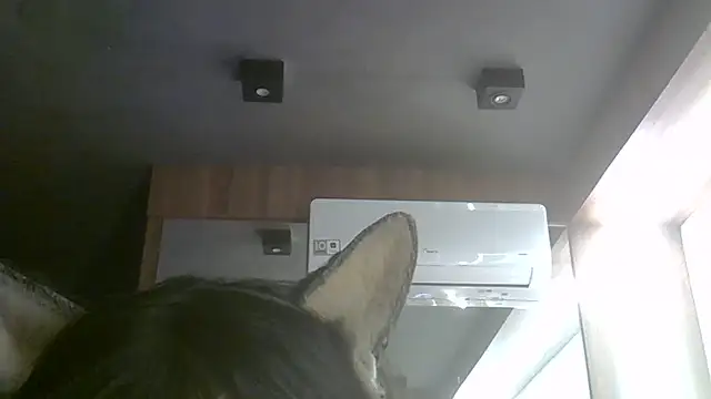 Skinny-Kitten online show from 6, 7, 2026