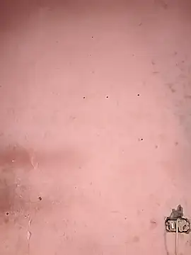 Sliced Digit online show from 12, 3, 2025