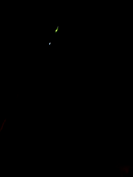 ManBlackhot online show from 20, 1, 2025