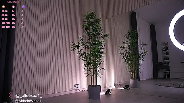 Abbela White online show from 23, 1, 2025