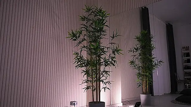 Abbela White online show from 23, 1, 2025