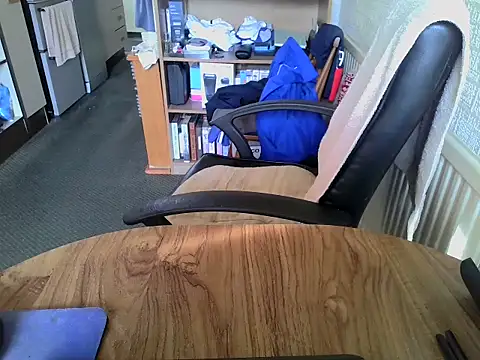 daddyflash online show from 27, 2, 2026