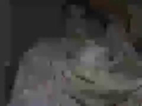 Snapshot of maxstelll chatting on 24, 2, 2026 maxstelll online show from 24, 2, 2026