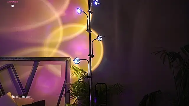 TataCoy online show from 27, 2, 2026