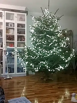 SexyDreamercouple89 online show from 7, 12, 2024