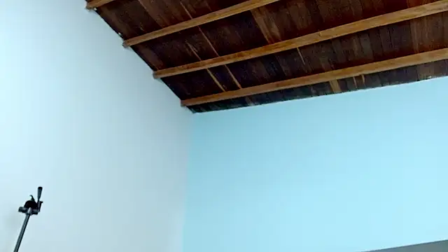 Snapshot of sophia_hadid chatting on 18, 1, 2025 sophia hadid online show from 18, 1, 2025