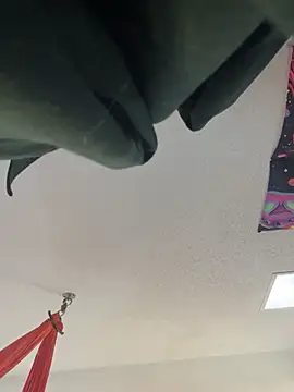 Snapshot of Terrafirma chatting on 27, 1, 2025 Terrafirma online show from 27, 1, 2025