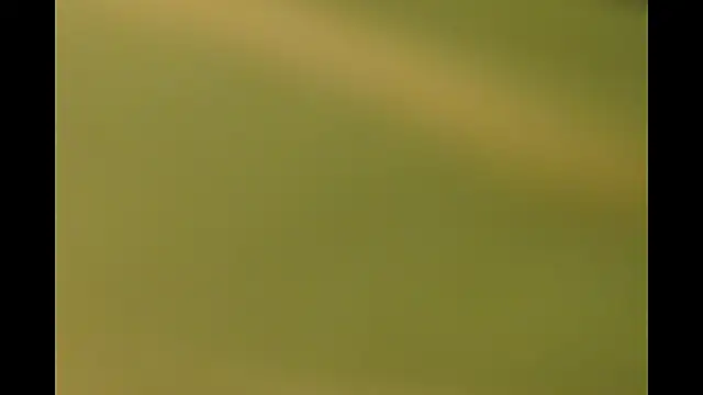 -AyeshaSinghania- online show from 26, 3, 2026