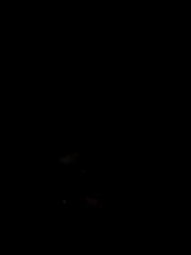 Snapshot of Mailsonp chatting on 7, 2, 2026 Mailsonp online show from 7, 2, 2026