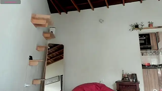 Rainbow leia online show from 21, 2, 2026