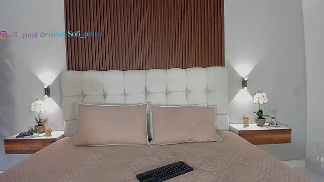 sofi potter  online show from 8, 1, 2026