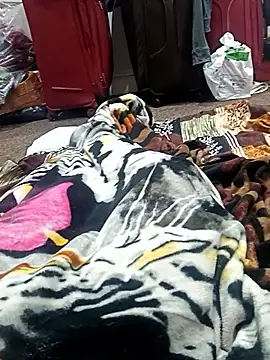 addu24 online show from 6, 1, 2026