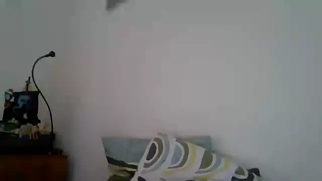 Snapshot of joaodias_97 chatting on 17, 2, 2025 joaodias 97 online show from 17, 2, 2025