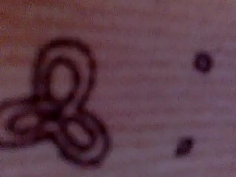 soniasharma0223 online show from 17, 2, 2025