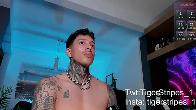 Snapshot of TigerStripes1_ chatting on 12, 2, 2025 TigerStripes1 online show from 12, 2, 2025