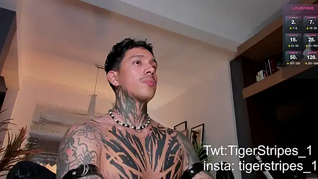 Snapshot of TigerStripes1_ chatting on 22, 2, 2025 TigerStripes1 online show from 22, 2, 2025