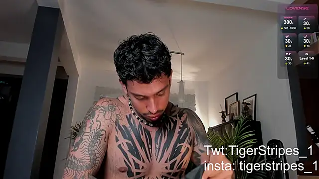 Snapshot of TigerStripes1_ chatting on 28, 2, 2025 TigerStripes1 online show from 28, 2, 2025