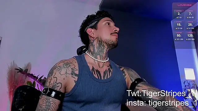 Snapshot of TigerStripes1_ chatting on 19, 3, 2025 TigerStripes1 online show from 19, 3, 2025