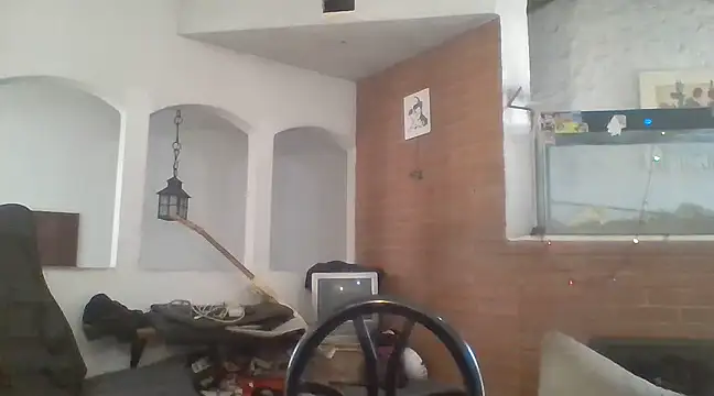 Stevenson988 online show from 19, 12, 2024