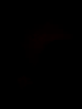 Snapshot of Bella-Tight chatting on 30, 10, 2025 Bella-Tight online show from 30, 10, 2025