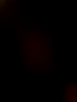 htopatudo online show from 28, 3, 2026